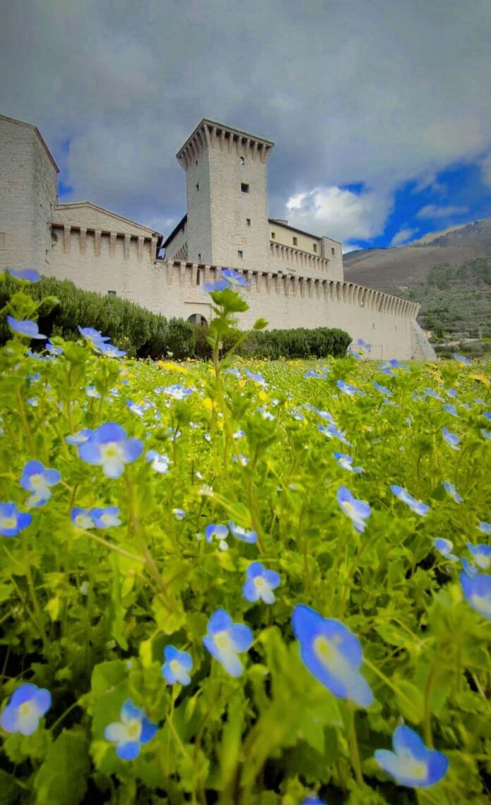 FB_IMG_1742504557938