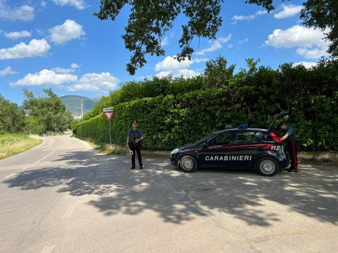 IMG-20220601-WA0005 (1)