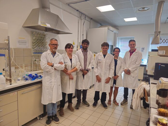 Team Ricerca Prof. Rossi_UniPg