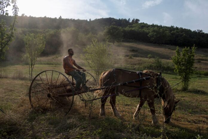 FOTO AGRICOLTURA 2
