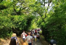 Domenica 19 aprile appuntamento con Corciano in movimento Si va a spasso a Capocavallo