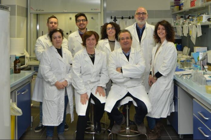 EQUIPE LAB SERVILLO