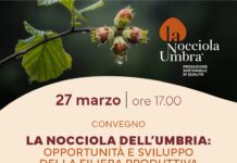 Filiera della Nocciola Umbra, a Spello secondo incontro informativo organizzato da Pro Agri per far conoscere più da vicino le potenzialità della filiera corilicola regionale.