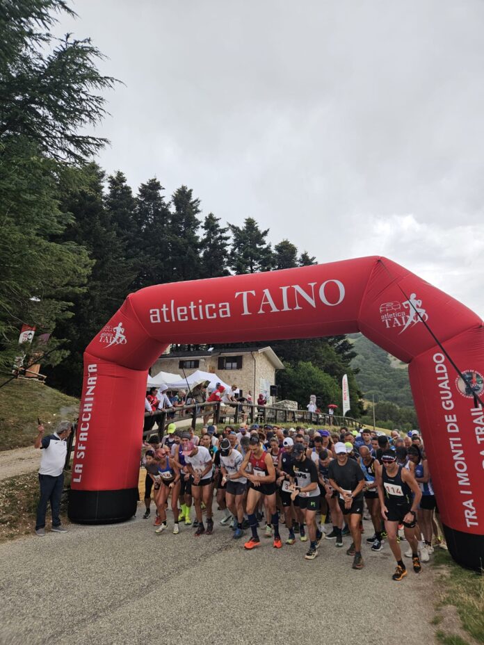 Partenza 10km archivio vert