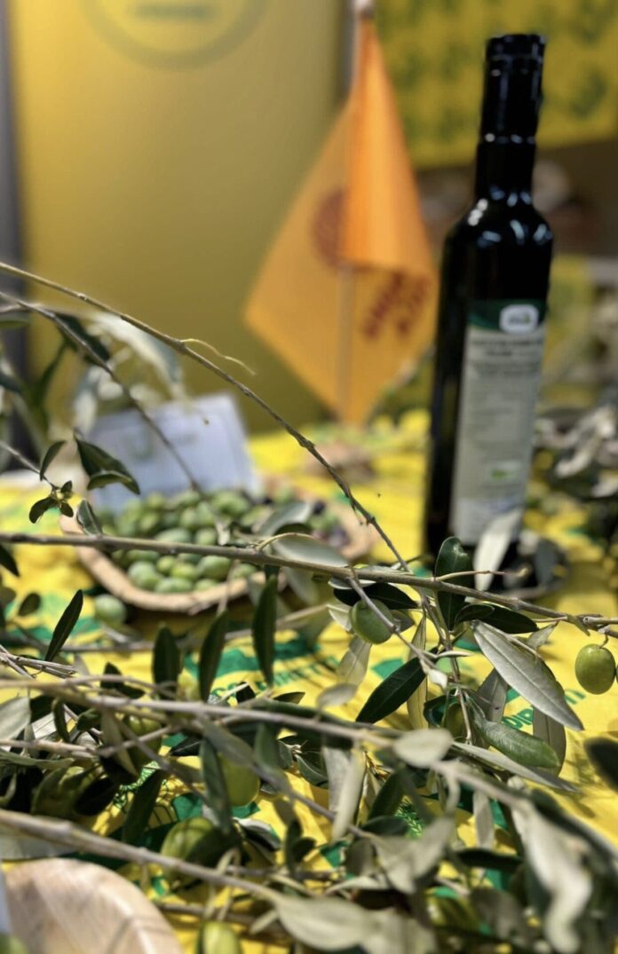olio DOP