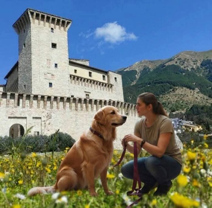 POLO MUSEALE DOG FRENDLY