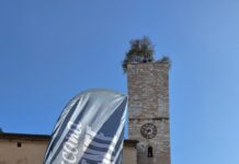 La Francescana Sorprendente, un successo di partecipazione e inclusione Circa 200 cicloturisti da Italia ed Europa hanno percorso l’itinerario Spello Splendidissima, trasformando la mobilità accessibile in un’esperienza condivisa di scoperta, socialità e valorizzazione del territorio