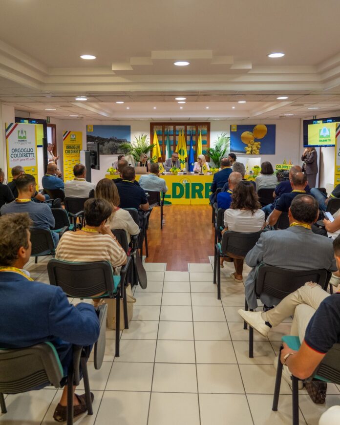 assemblea