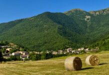 Fabriano, cacciatore disperso. Ritrovato senza vita in una scarpata.